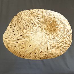 Escultura, Dentelle, Agnès K.