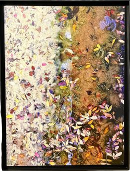 Photography, Songe Rose 2/8, Catherine Dedieu Lugat