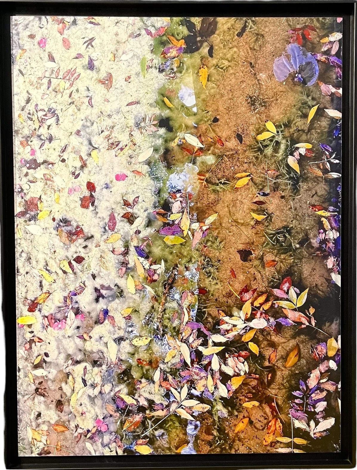 Catherine Dedieu Lugat, Songe Rose 2/8 Catherine Dedieu Lugat, Songe Rose 2/8