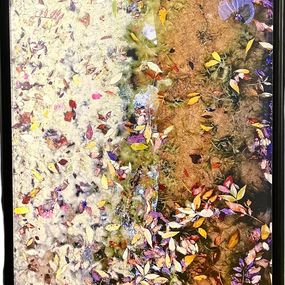 Photography, Songe Rose 2/8, Catherine Dedieu Lugat