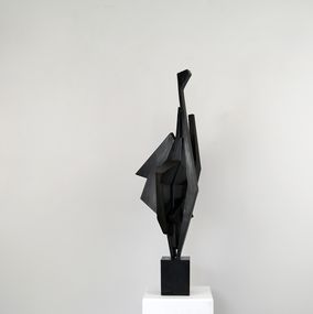 Sculpture, Miroir d'inhérence, Mpcem