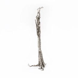 Skulpturen, Pequi Tree, Ai Weiwei