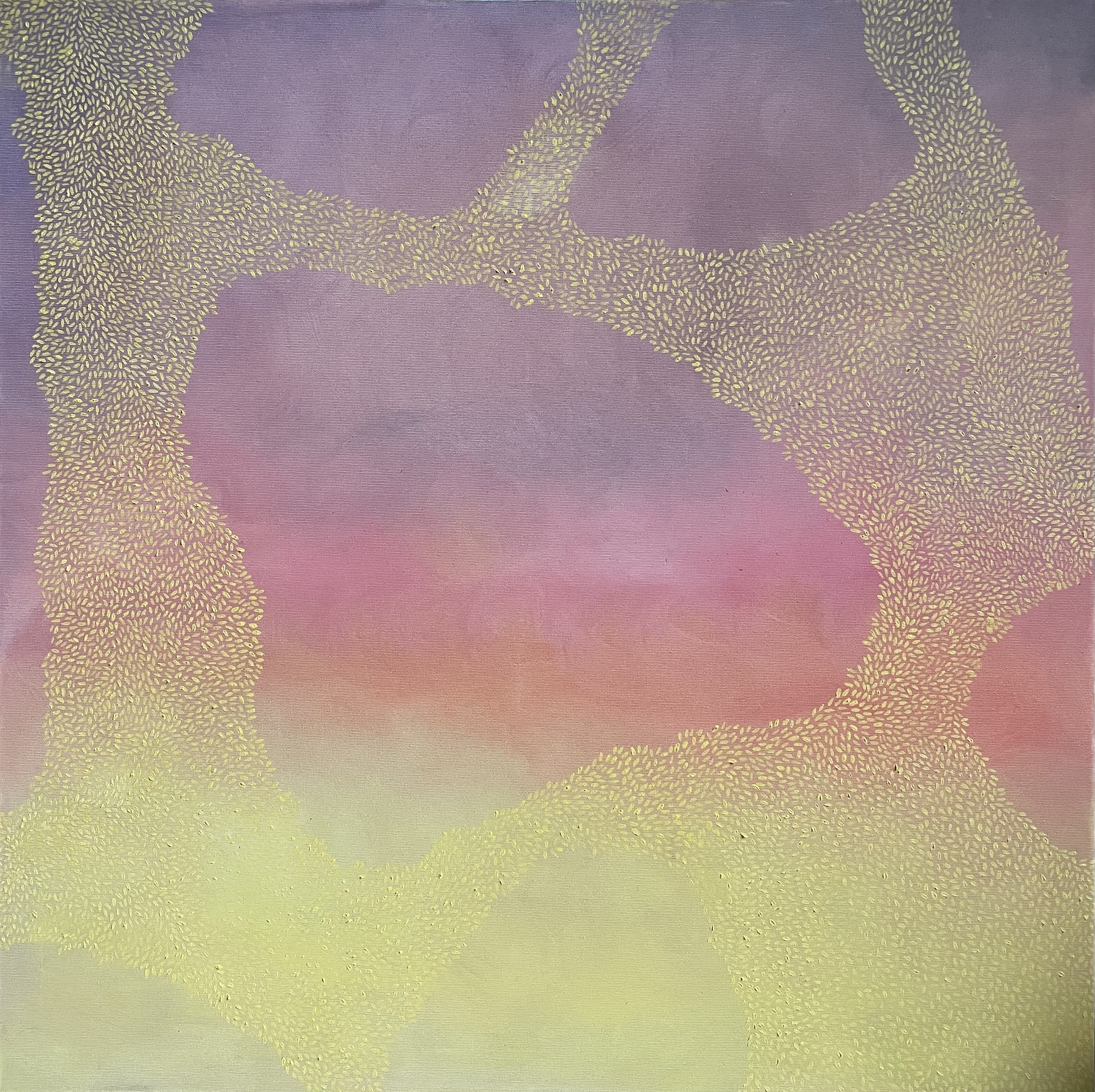Flora B, The Sky is Burning Flora B, The Sky is Burning
