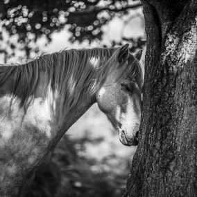 Photography, At one with earth, Alfie Bowen