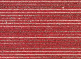 Photographie, AV_Tulip_Fields_020, Bernhard Lang