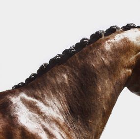 Fotografia, Equus, Align II, Amrita Bilimoria