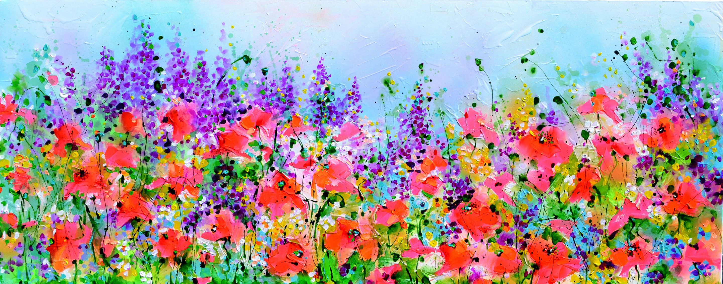 Soos Roxana, Wild Red Poppy, Poppies and Blue Delphinium Field Soos Roxana, Wild Red Poppy, Poppies and Blue Delphinium Field