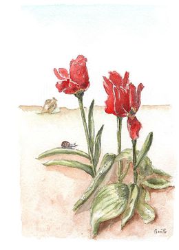 Fine Art Drawings, Fanfan la tulipe, Gaelle Beyaert