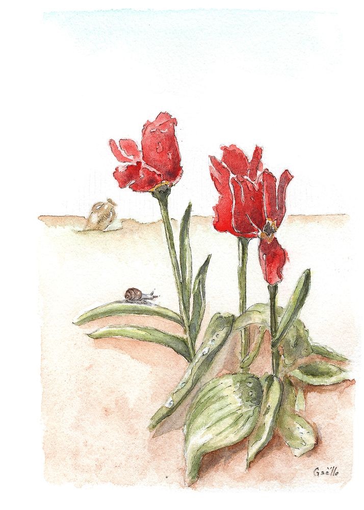 Gaelle Beyaert, Fanfan la tulipe Gaelle Beyaert, Fanfan la tulipe