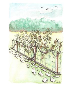 Fine Art Drawings, La guirlande d'août, Gaelle Beyaert