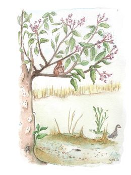 Fine Art Drawings, Un havre de paix, Gaelle Beyaert