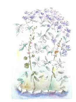 Fine Art Drawings, Une partition de musique, Gaelle Beyaert