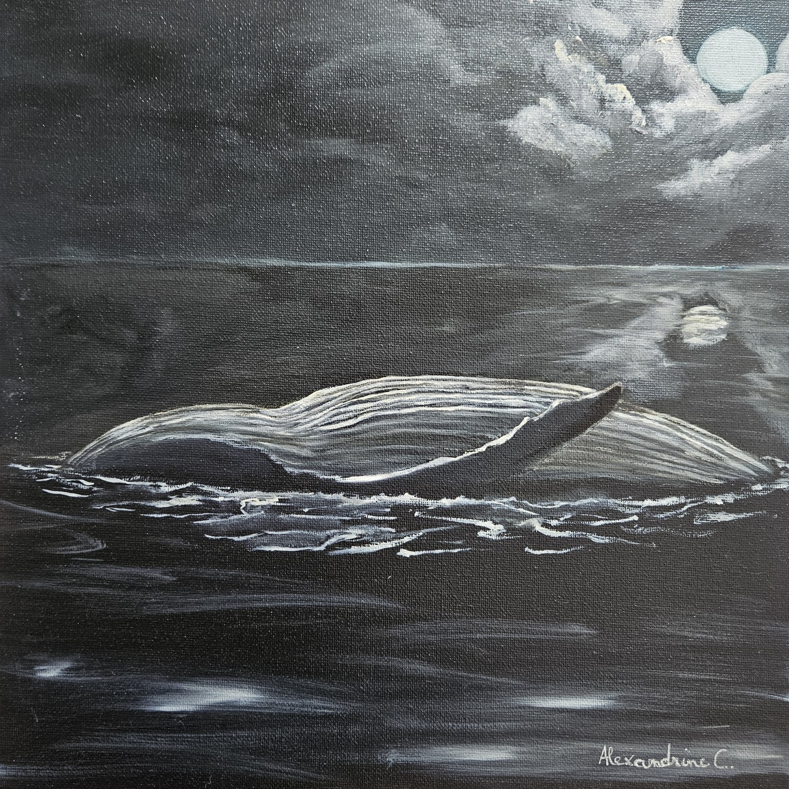 Caroline Alexandrine, Bal lunaire Caroline Alexandrine, Bal lunaire