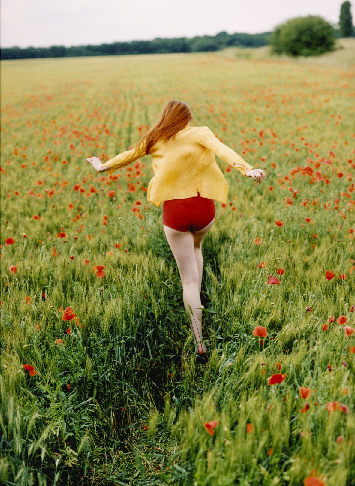 Guillaume Girardot, Flower Power 1 Guillaume Girardot, Flower Power 1
