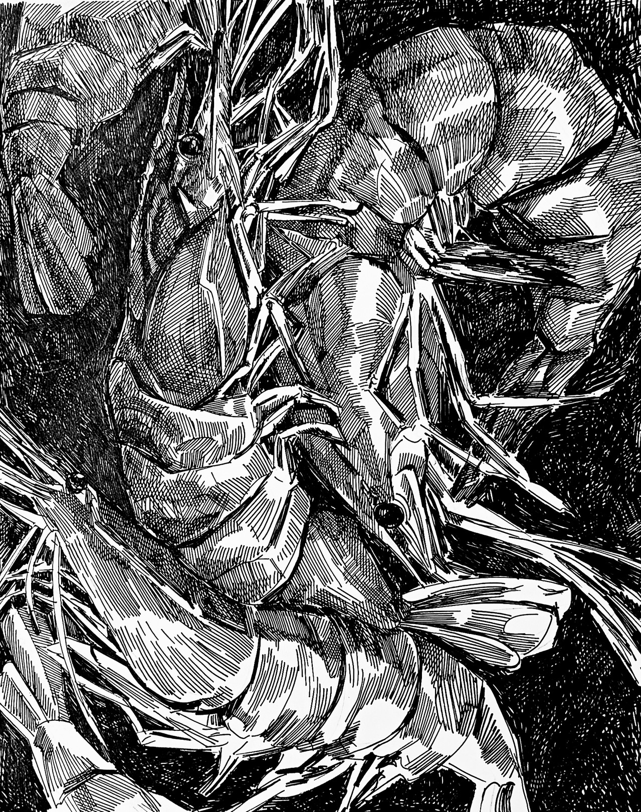 Iryna Burda, I really love shrimp. Iryna Burda, I really love shrimp.