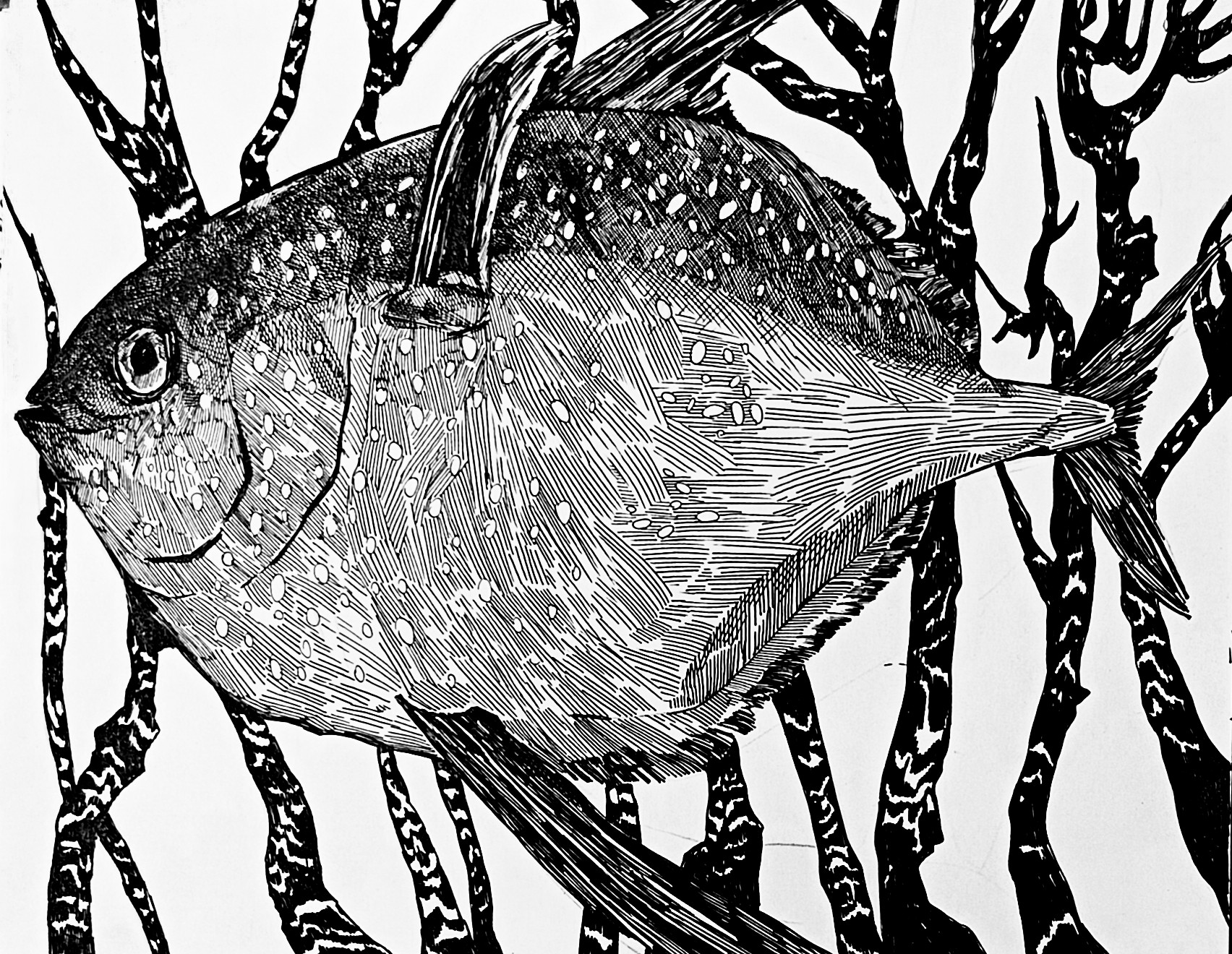 Iryna Burda, When change has become familiar Iryna Burda, When change has become familiar