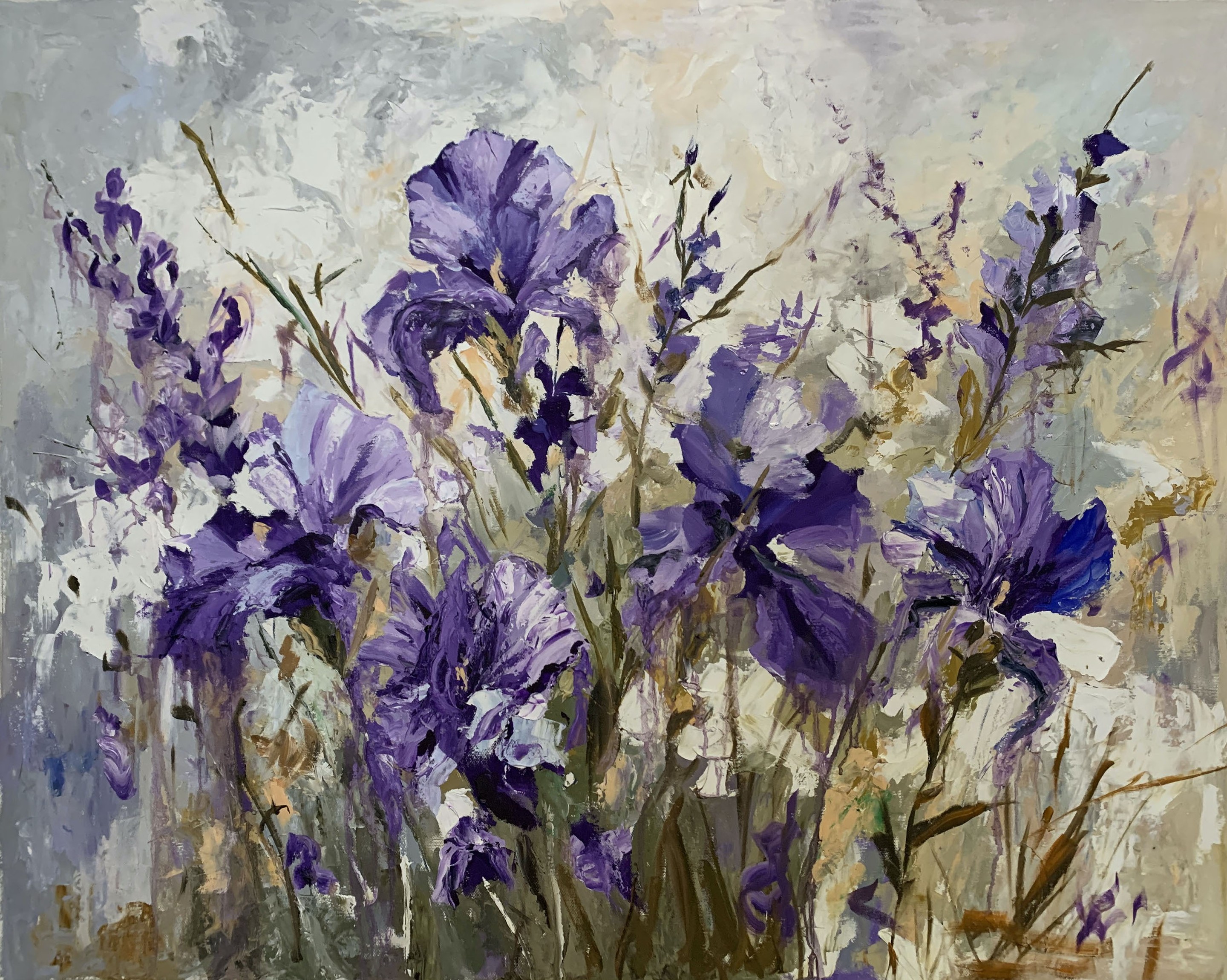 Schagen Vita, Lavender Breeze of irises Schagen Vita, Lavender Breeze of irises
