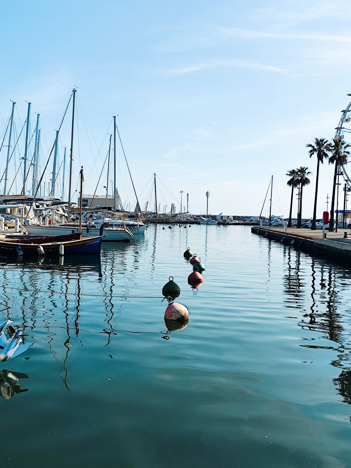 Natalya Mougenot, Buoys and yachts at rest Natalya Mougenot, Buoys and yachts at rest