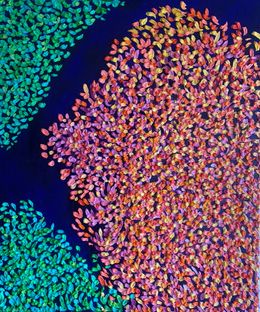 Painting, Glycine, Hugo Leboeuf