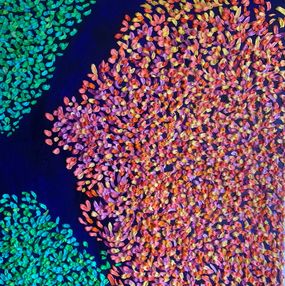 Pintura, Glycine, Hugo Leboeuf