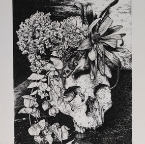 Edición, Vanité à l'oiseau, Odona Bones