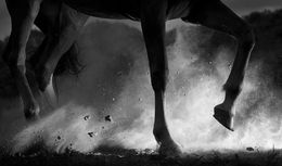 Photography, Halt, Mark Harvey