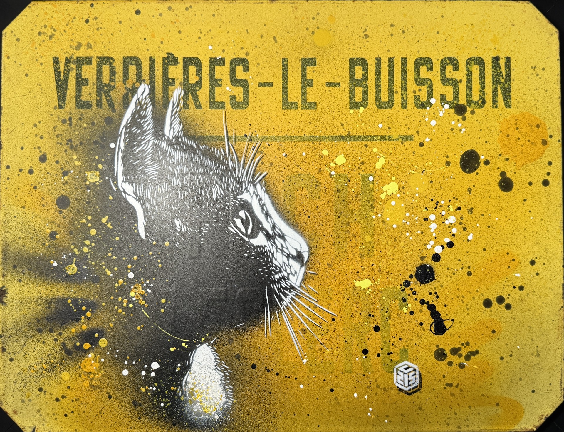 C215, Chat C215, Chat