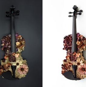 Photography, Yin and Yang Diptych, Kevin Krag
