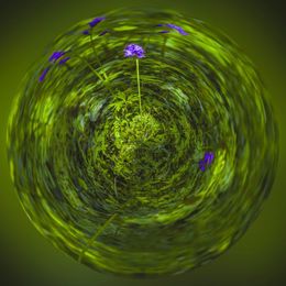 Photography, Parfum d'Univers, Paul Marnef
