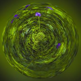 Photography, Parfum d'Univers, Paul Marnef