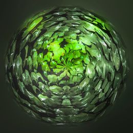Photography, L'Essence du Vert, Paul Marnef