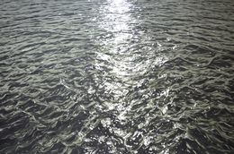 Peinture, Light on the water 49, Iryna Kastsova