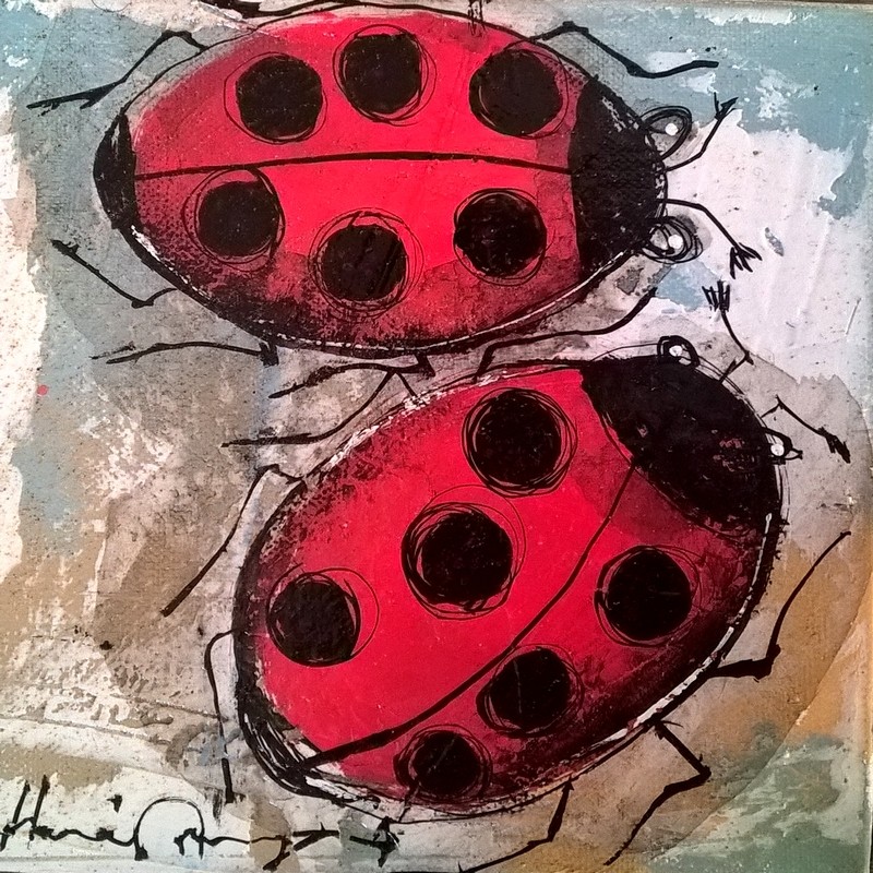Hervé Maury, Coccinelle Hervé Maury, Coccinelle