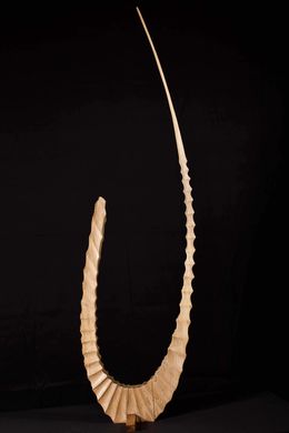 Sculpture, Groove, Lionel Le Coq