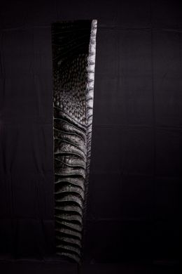 Sculpture, Abalone, Lionel Le Coq