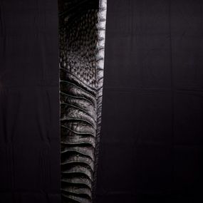 Sculpture, Abalone, Lionel Le Coq