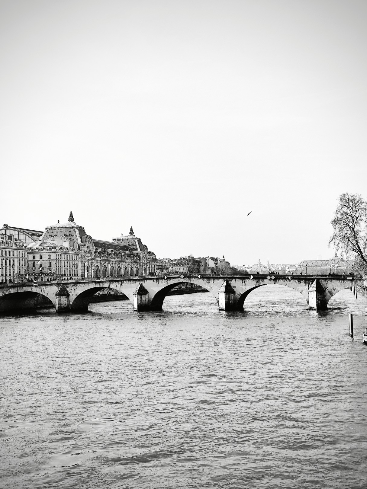 Natalya Mougenot, Between Orsay and the Louvre Natalya Mougenot, Between Orsay and the Louvre