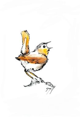 Fine Art Drawings, Mon adorable pioupiou !, Noël Granger