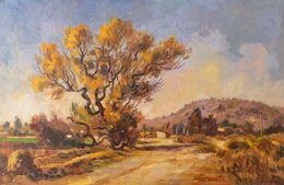Pittura, Sumumpaya, Benjamín Lafuente