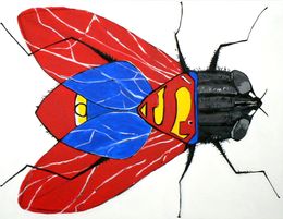 Gemälde, La Mouche a Superman, Richard Boigeol