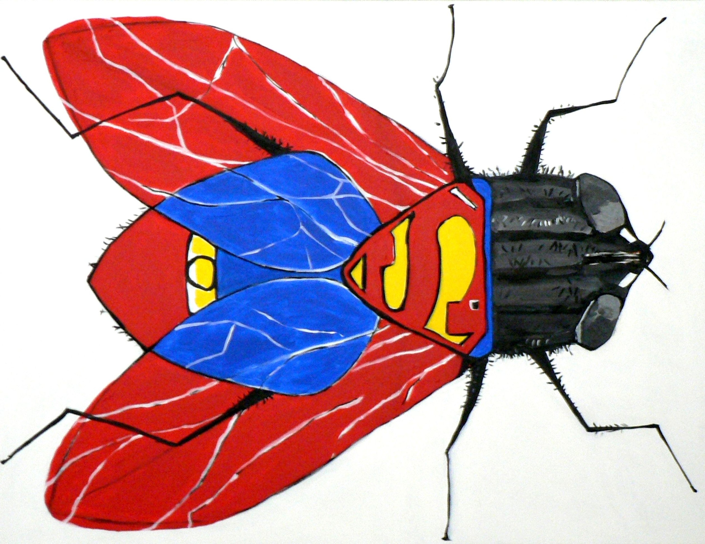 Richard Boigeol, La Mouche a Superman Richard Boigeol, La Mouche a Superman