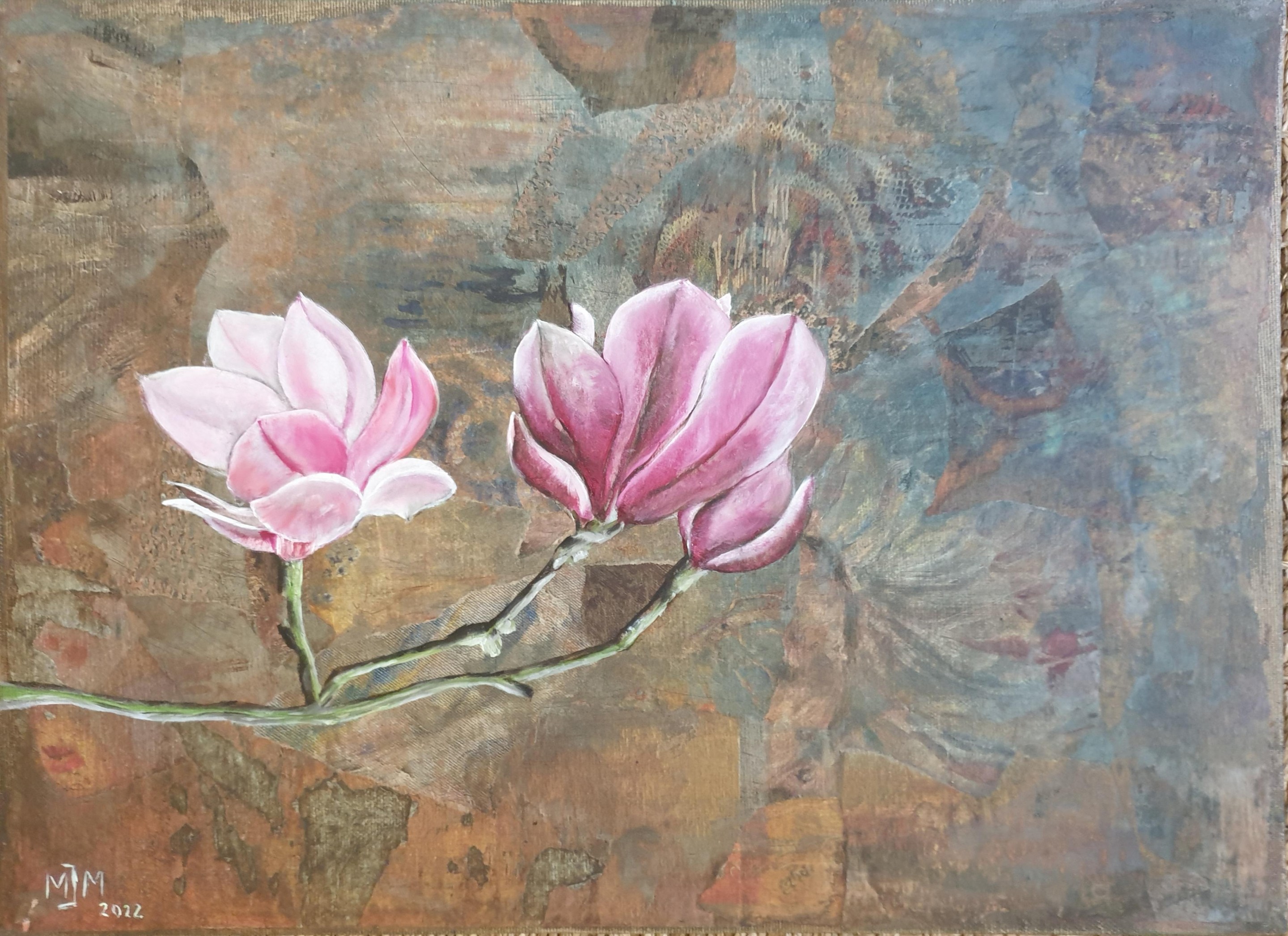 Menno Modderman, Magnolia Menno Modderman, Magnolia