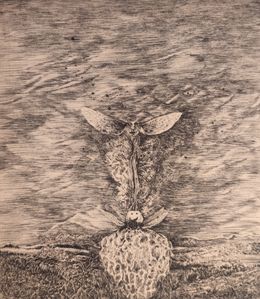 Drucke, Iokiphi, Didier Hamey