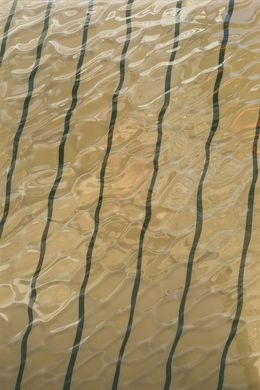 Peinture, Surface & Depth #119, Guillaume Grando