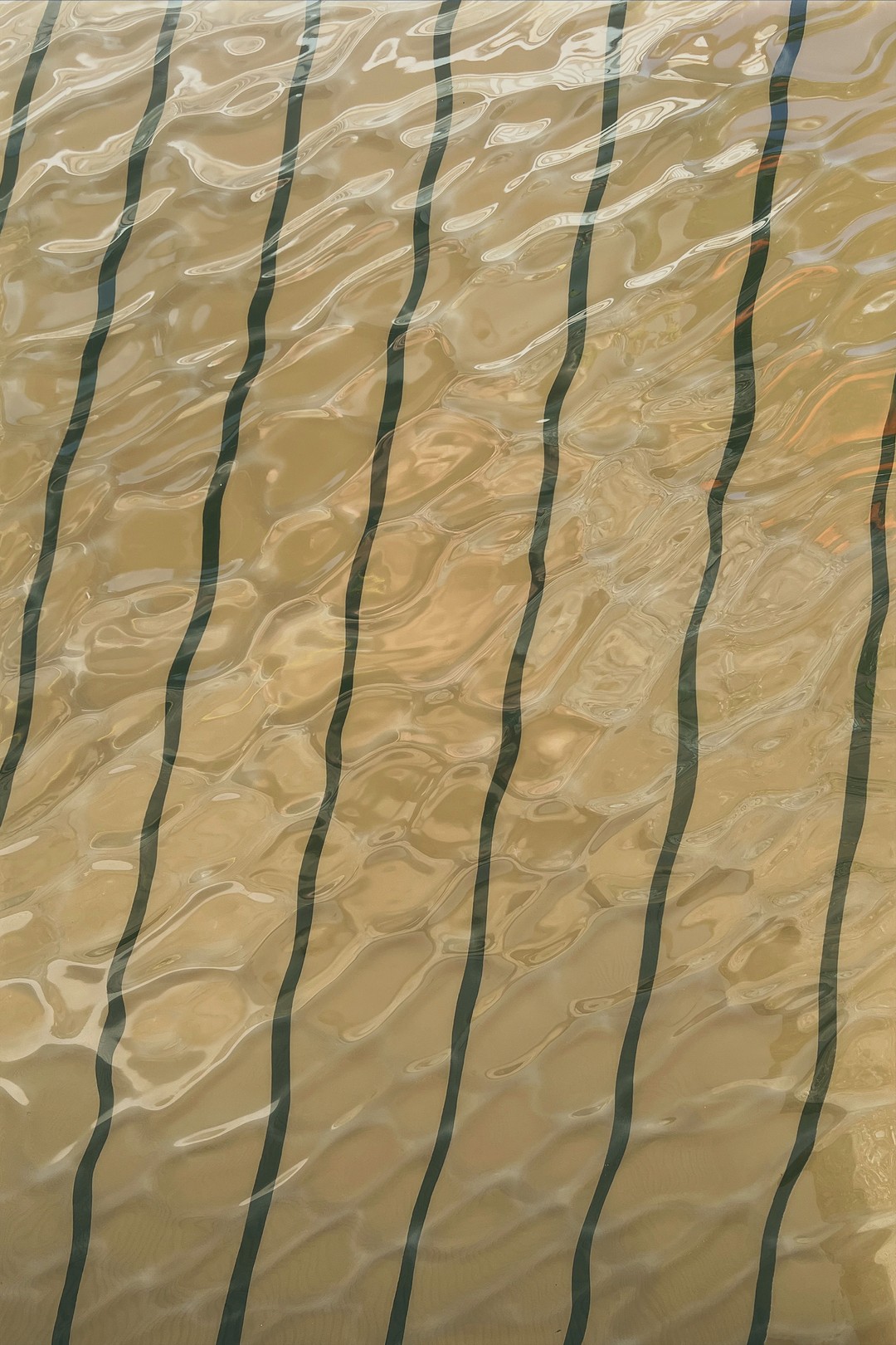 Guillaume Grando, Surface & Depth #119 Guillaume Grando, Surface & Depth #119