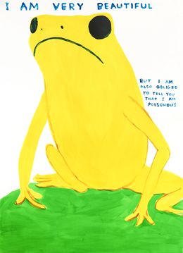 Édition, I Am Very Beautiful - Yellow Frog, David Shrigley