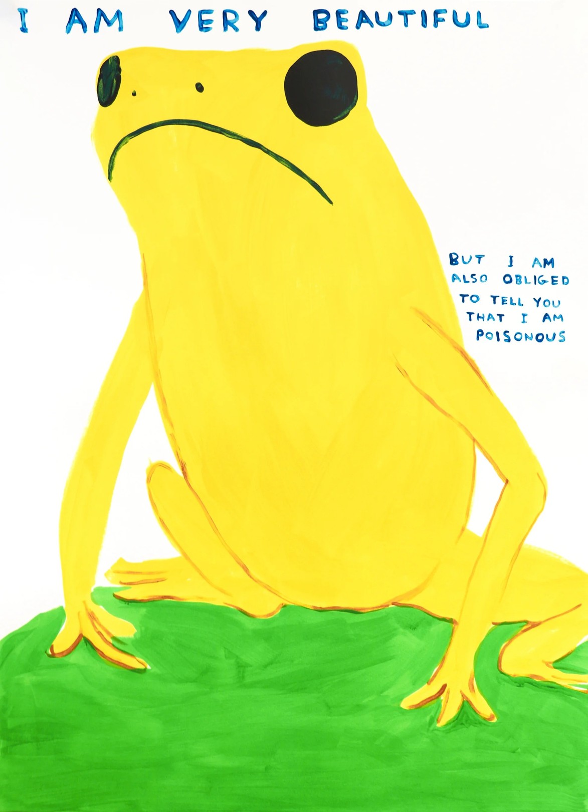 David Shrigley, I Am Very Beautiful - Yellow Frog David Shrigley, I Am Very Beautiful - Yellow Frog