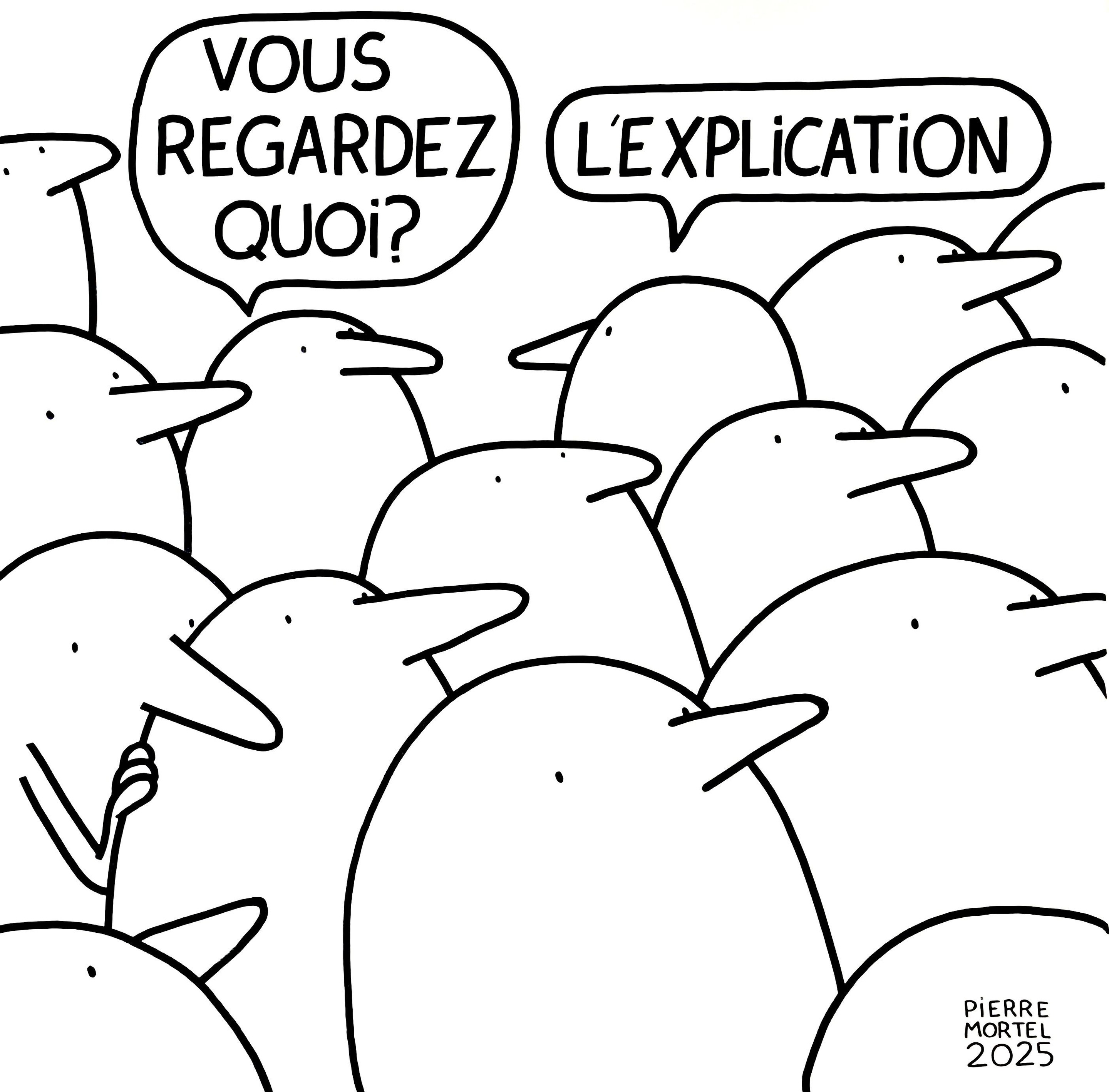Pierre Mortel, Vous regardez quoi ? Pierre Mortel, Vous regardez quoi ?