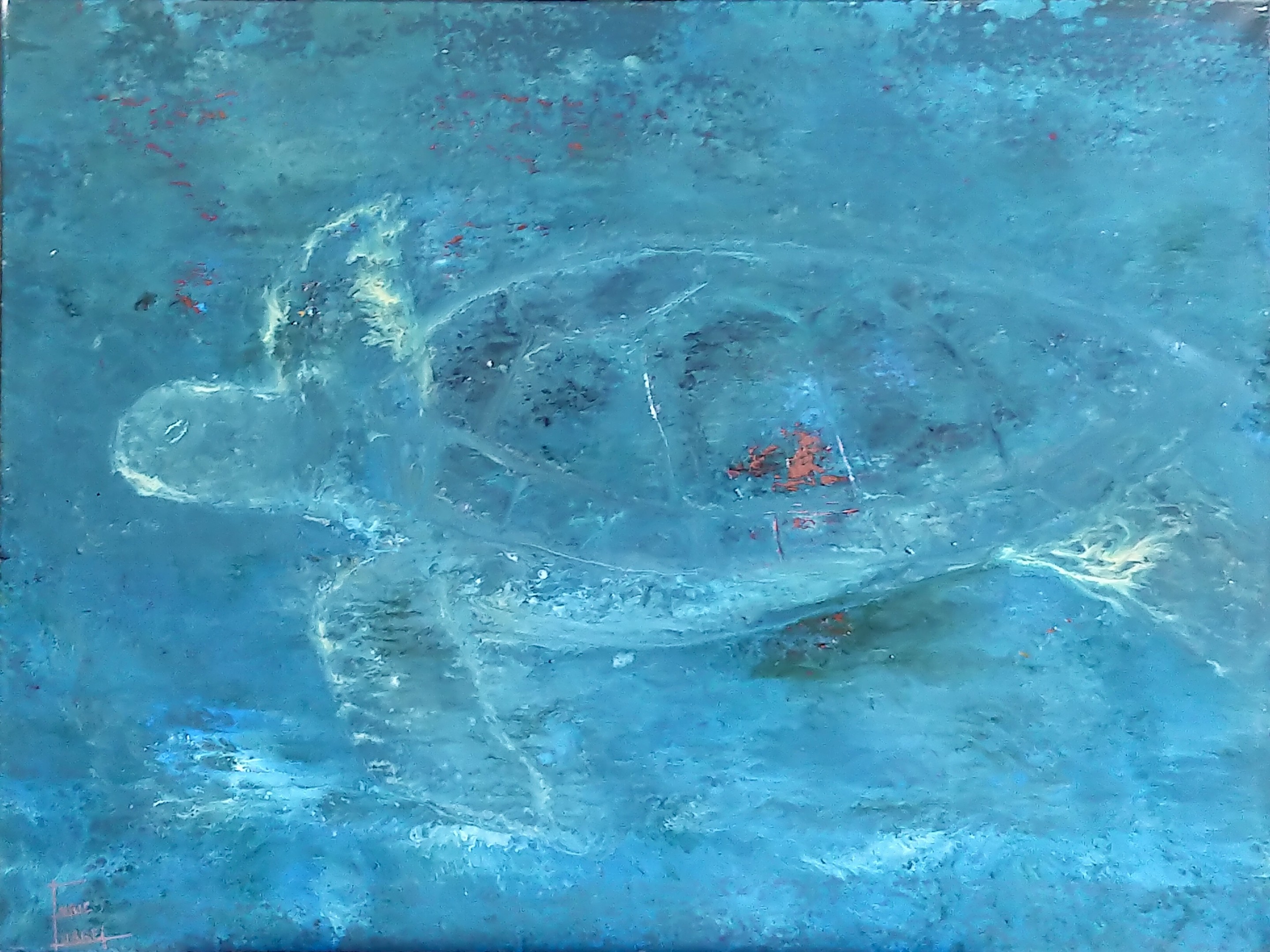 Enric Correa, Sea Turtle Enric Correa, Sea Turtle