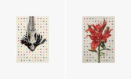 Photographie, 1060 and 6002, Diptych. From The One Series, Salvatore Arnone